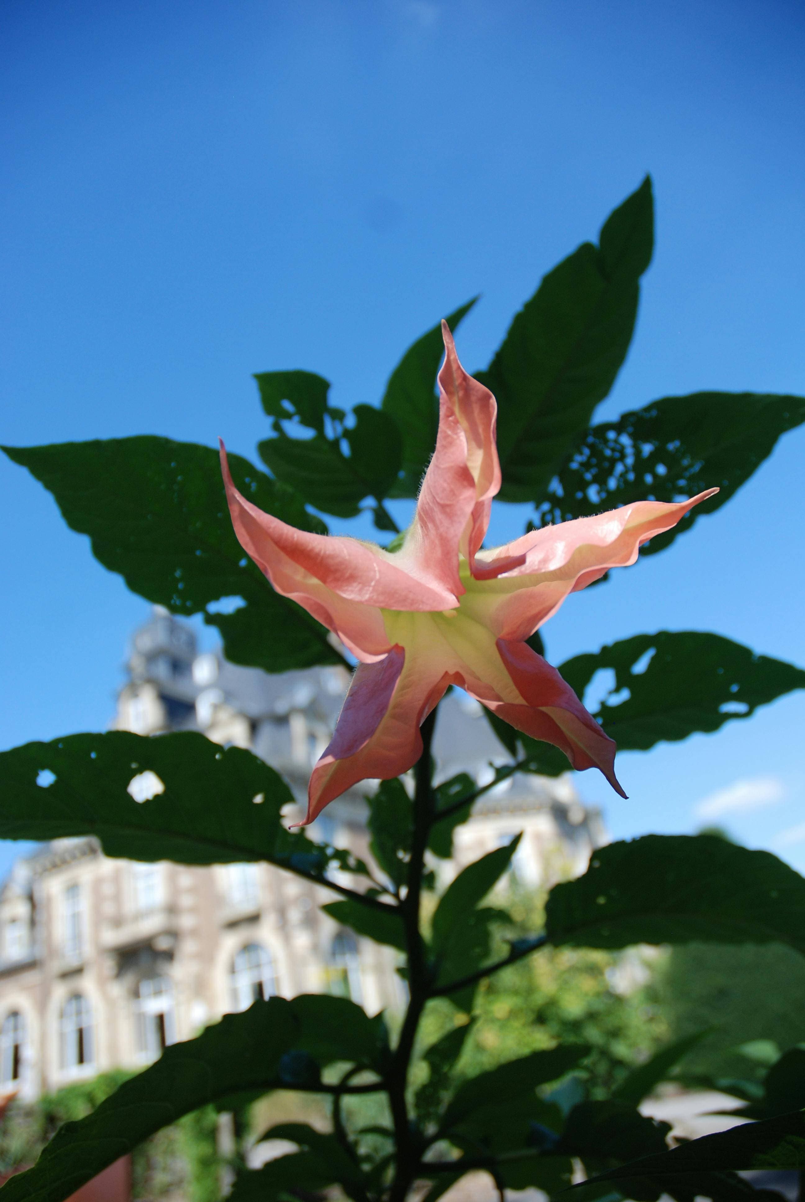 Gardens of Giverny